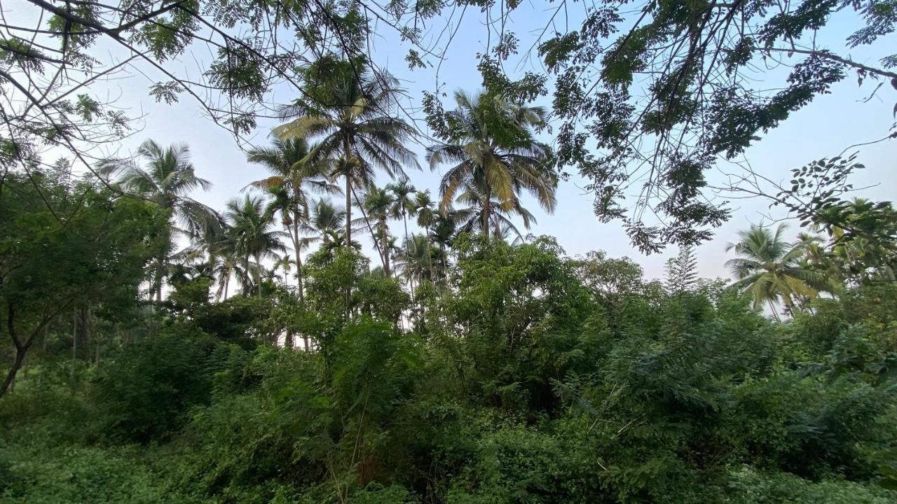 Lermitage Farms Kashid Alibaug Exterior photo