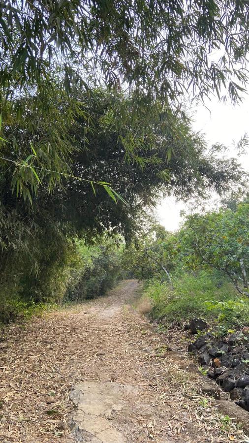 Lermitage Farms Kashid Alibaug Exterior photo